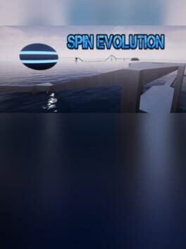 Spin Evolution