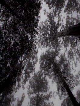 Scattered Ashes