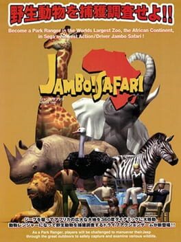 Jambo Safari