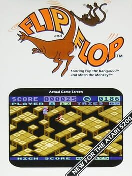 Flip & Flop