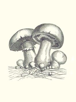 Acephalus